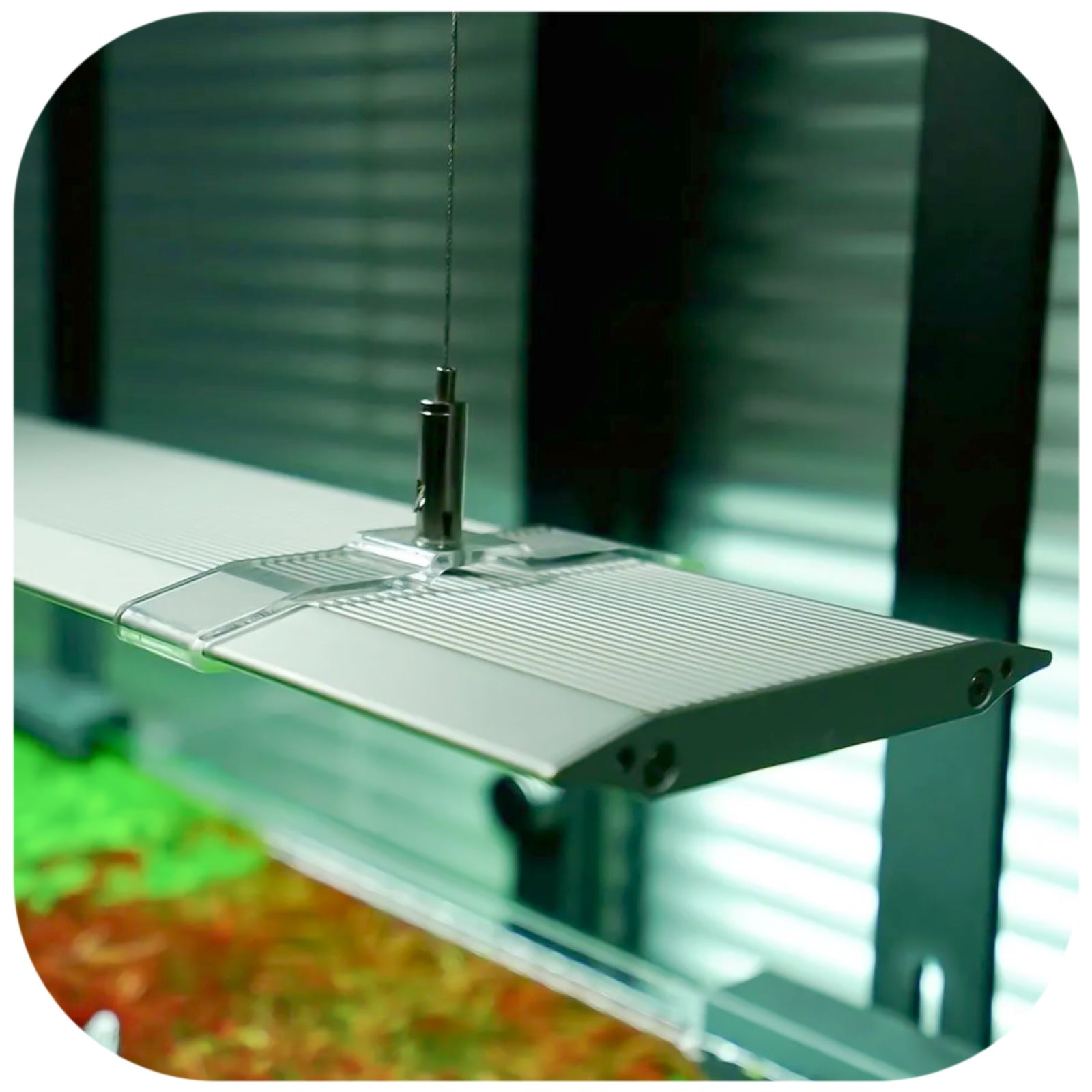 30bee17f90f07e7b289e960e6c378aef