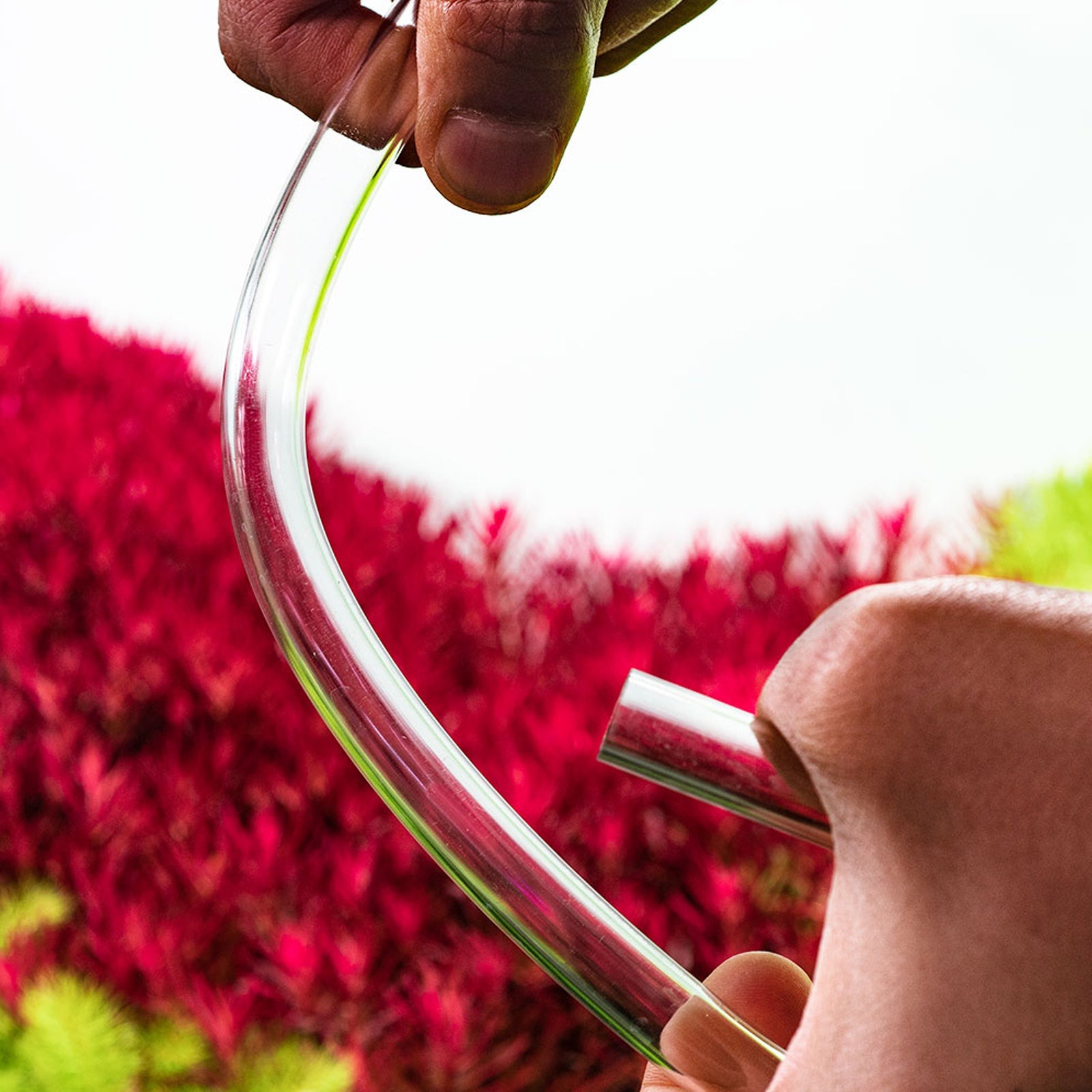 c656a33c0f621cd24bbd904232fa79aa