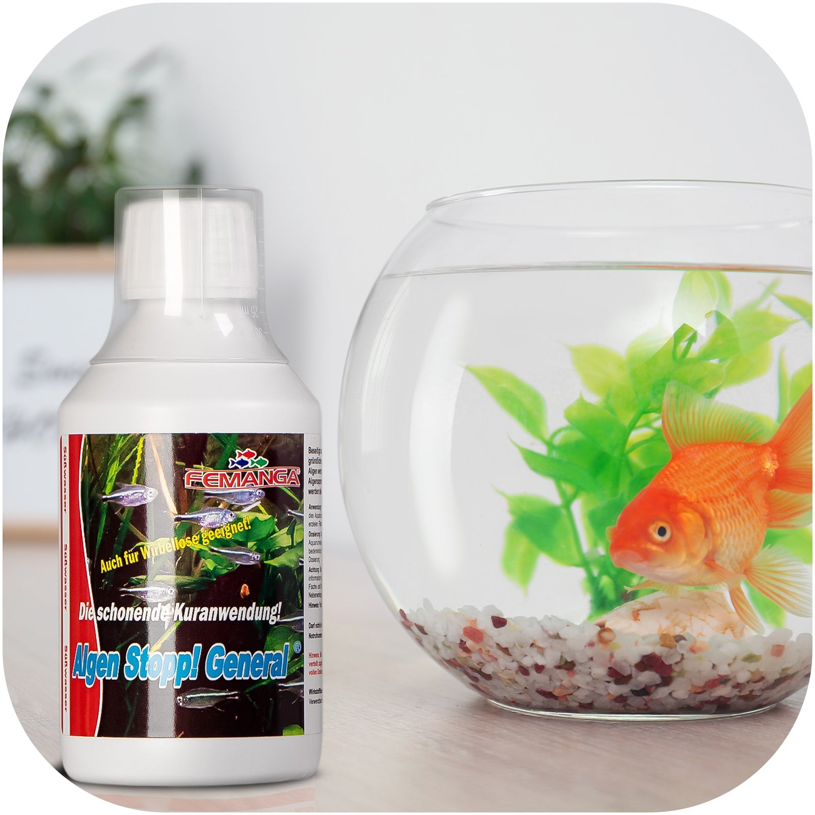 c18fc2c2bbbb7ee2bc7f3062ef253b3a