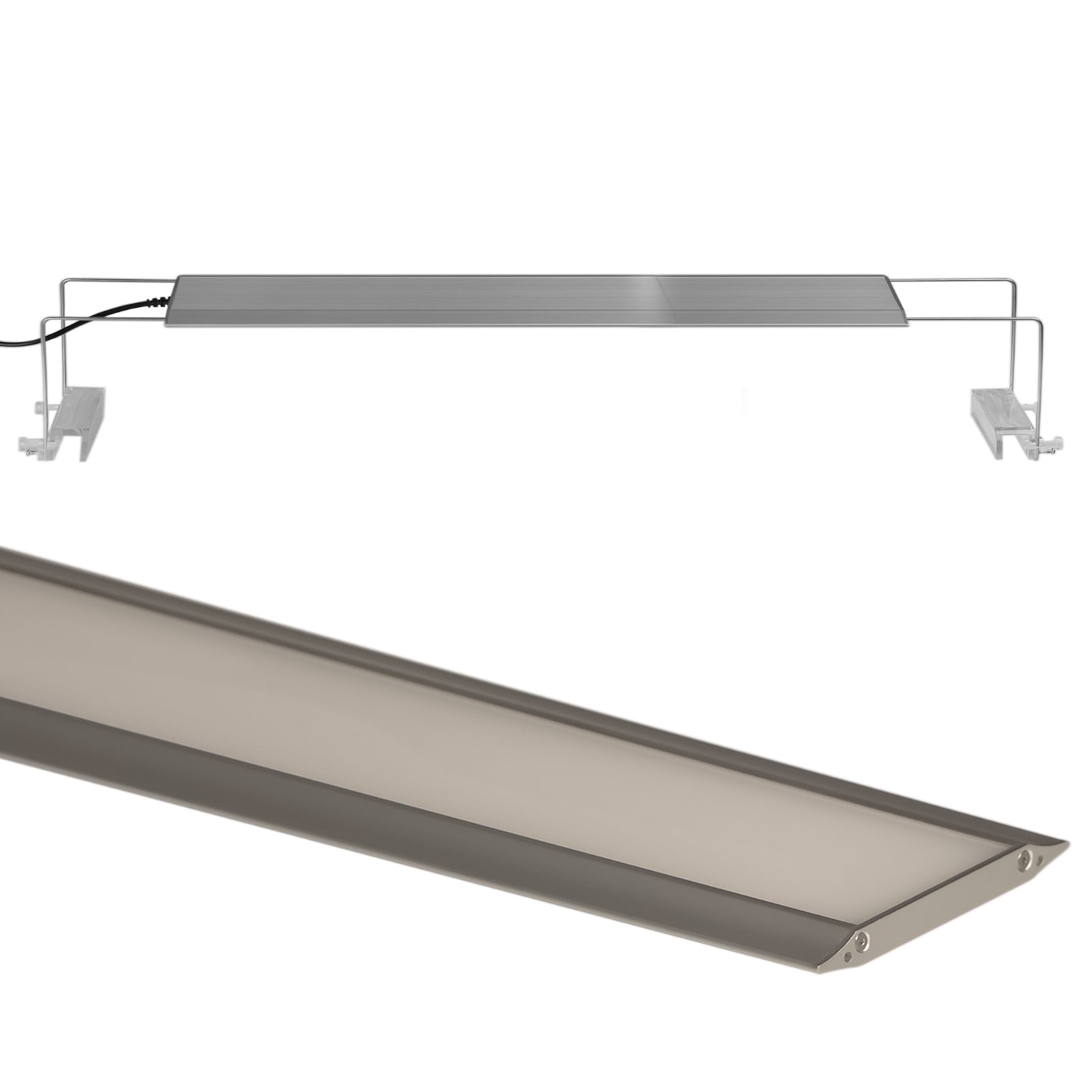 c55b664681a16daa9f3a3218eae98882