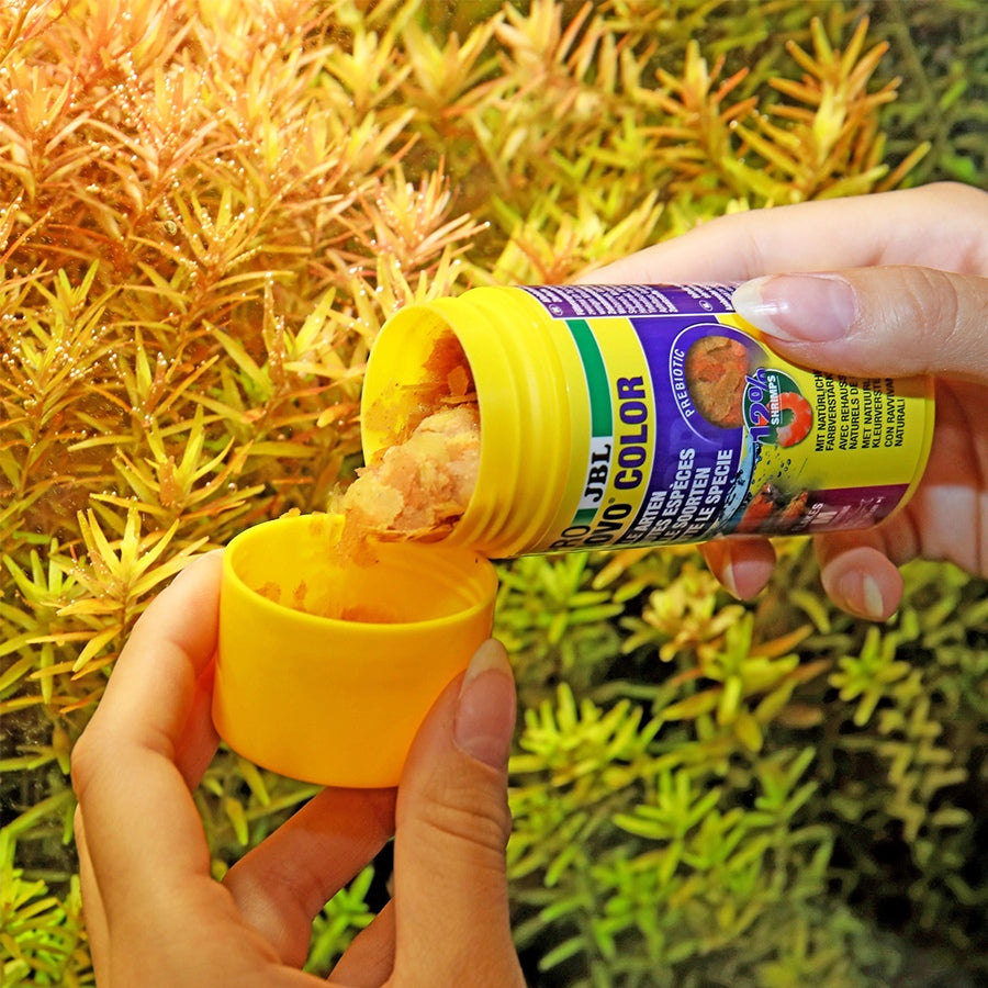 a63d4fcdcdb0e92c528a562215e91ced