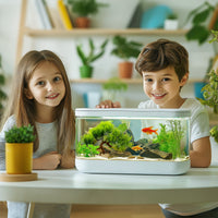 fd478ab807e2cad7810bb9444babb381