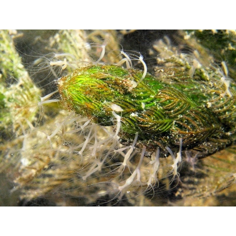 5743ca9228d190ad1ff2f1e7766efc9f