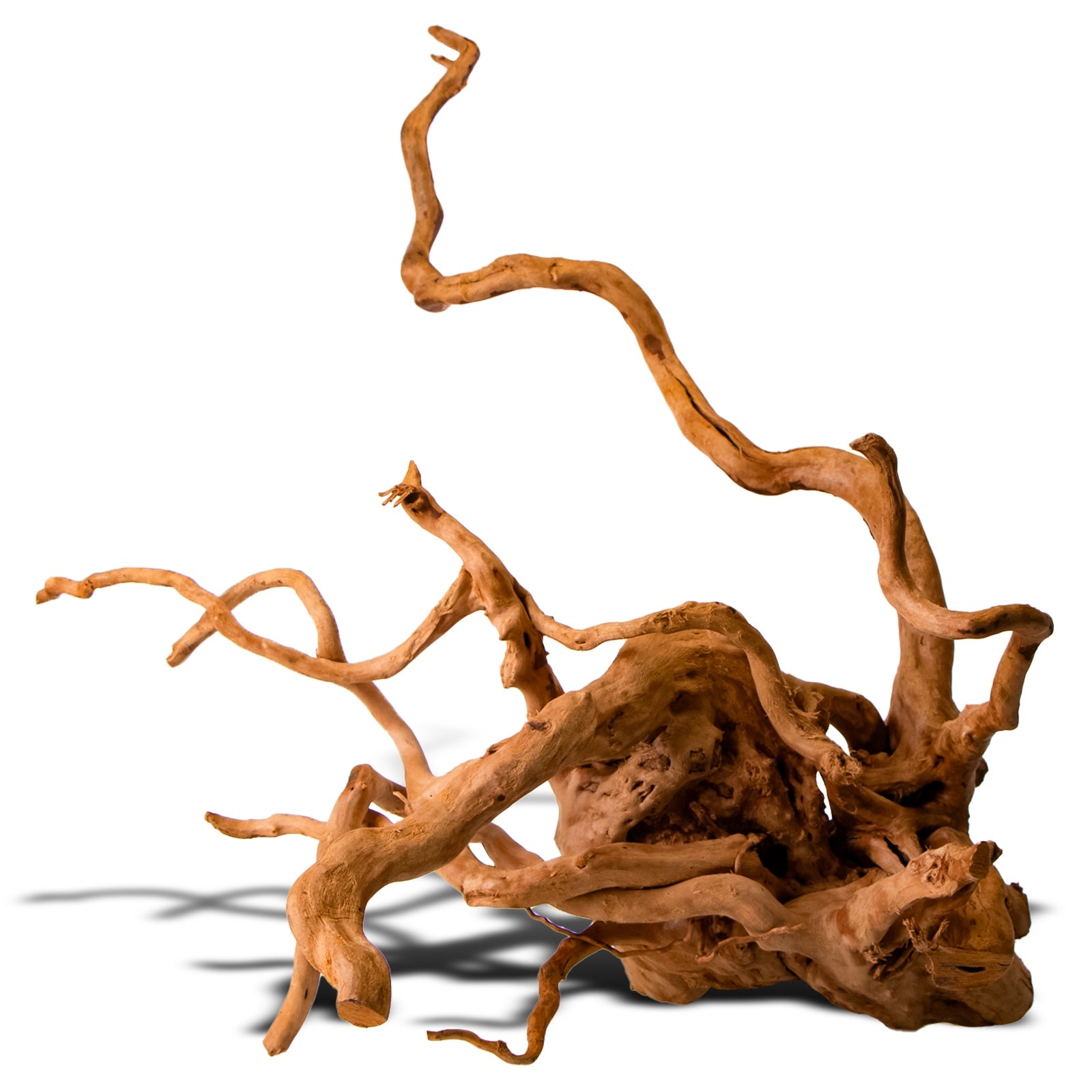 f4444df86206fa80459aa35a41a629b7