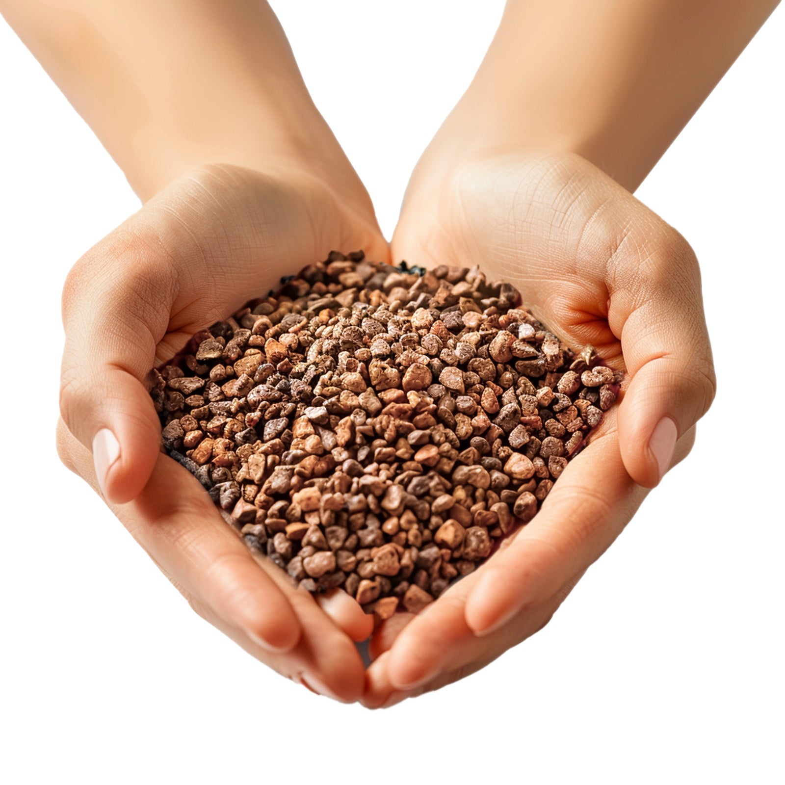 c1700b141d284a22b543eccc774d7956