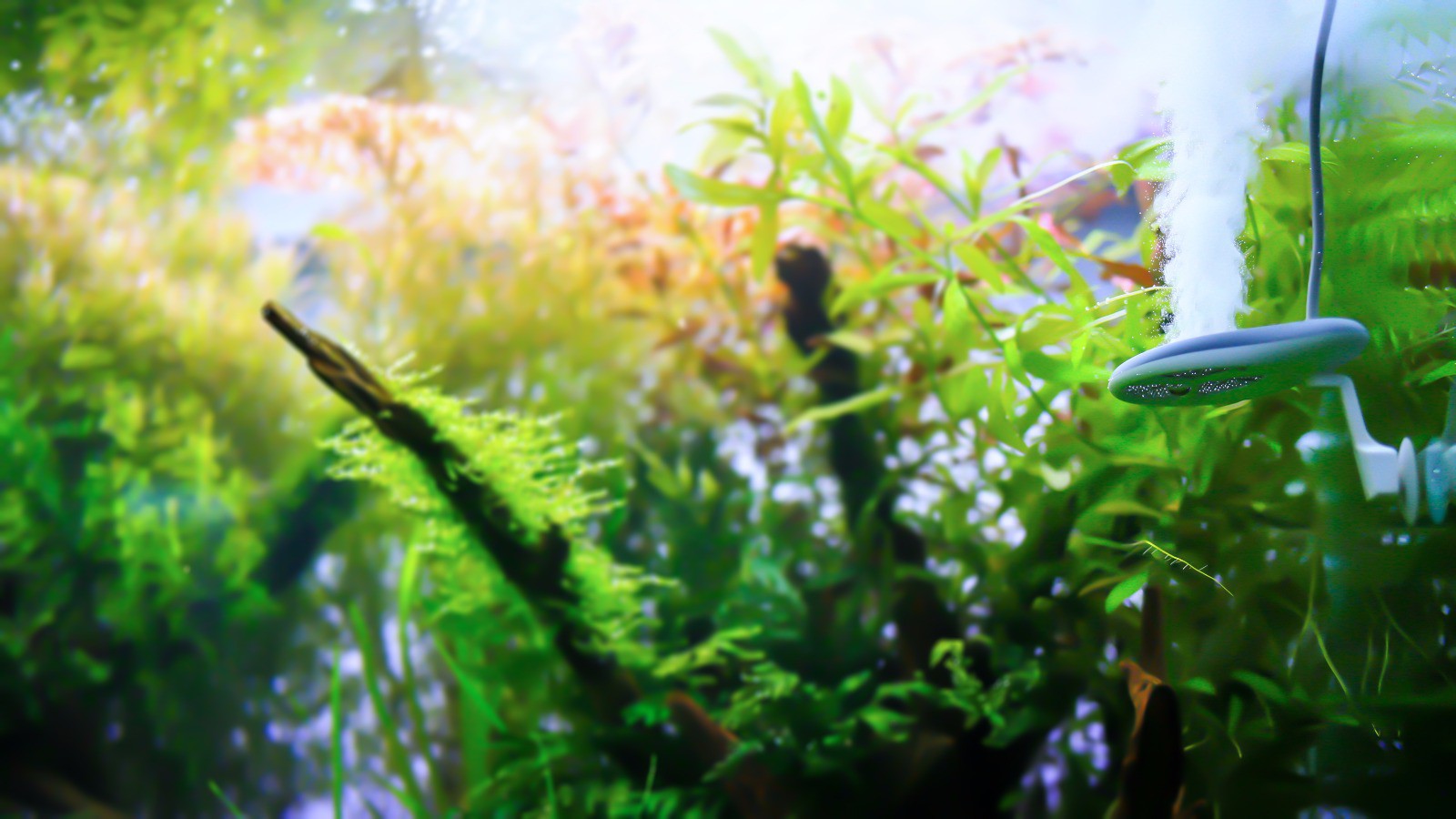 dfbe7c42159e4d52a682b5e6b06493db