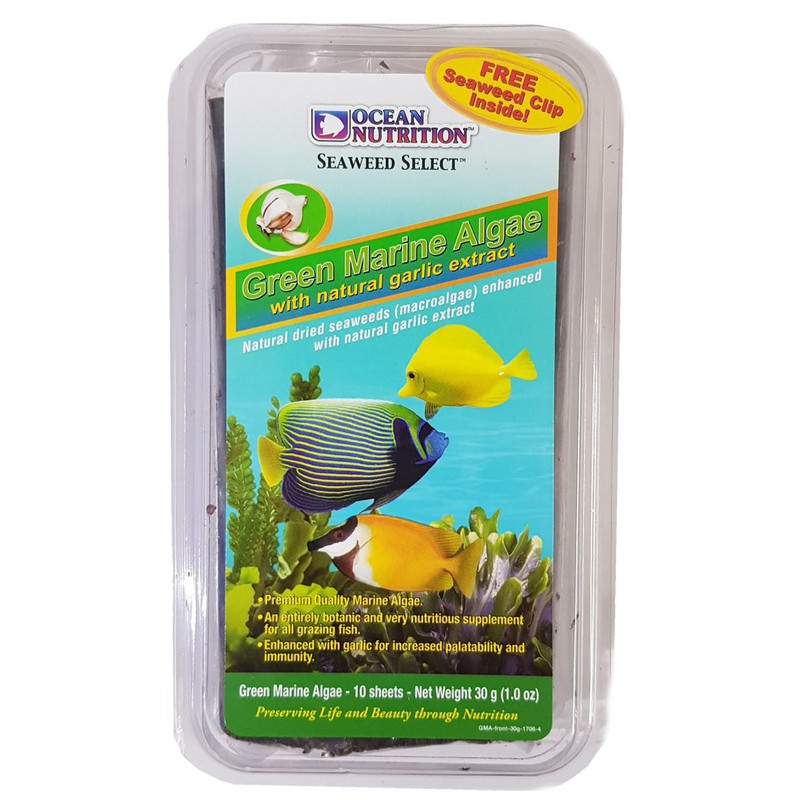 da44aca9572c94d46d259700d9b5d156