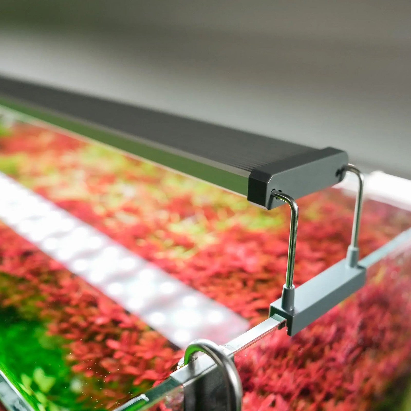 0810d3529f45ddfac01acc022216e45e