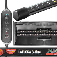 5425e5854d35f268b7b6a156c870306e