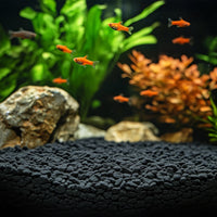 b957e978e31e3179f2effa464efc1ce4