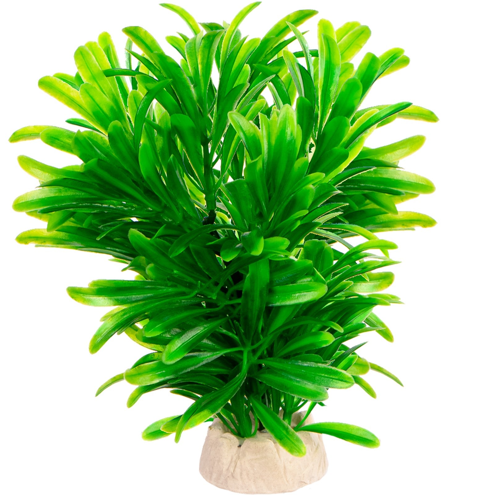 a2a1fad89d695ffb747bed5c1356a9d1