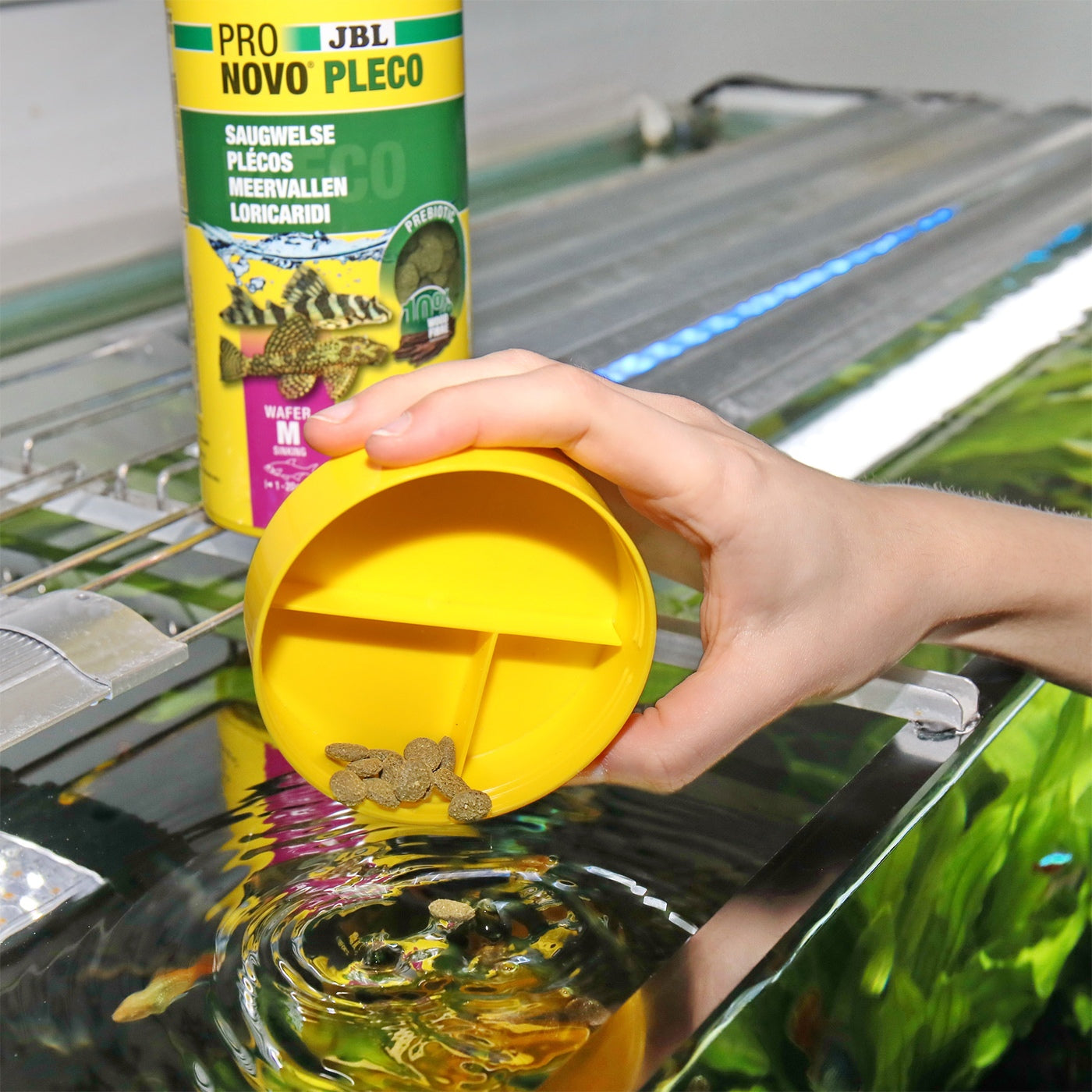 cbe6cfbe6b8260d2eee9d6acc795f502