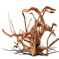 b6c677ea232b24e50f84880d612071b3