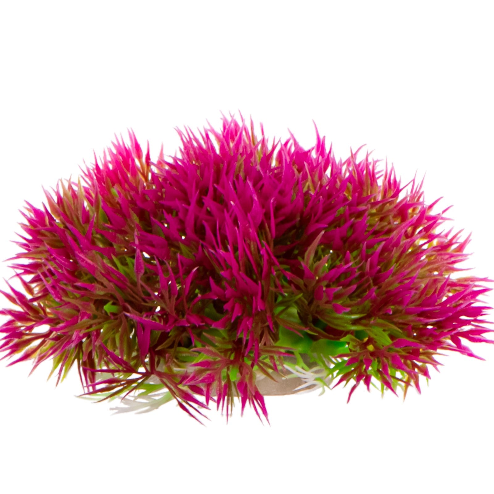 9682423bd2b092f8b7b2a0ef591556fe