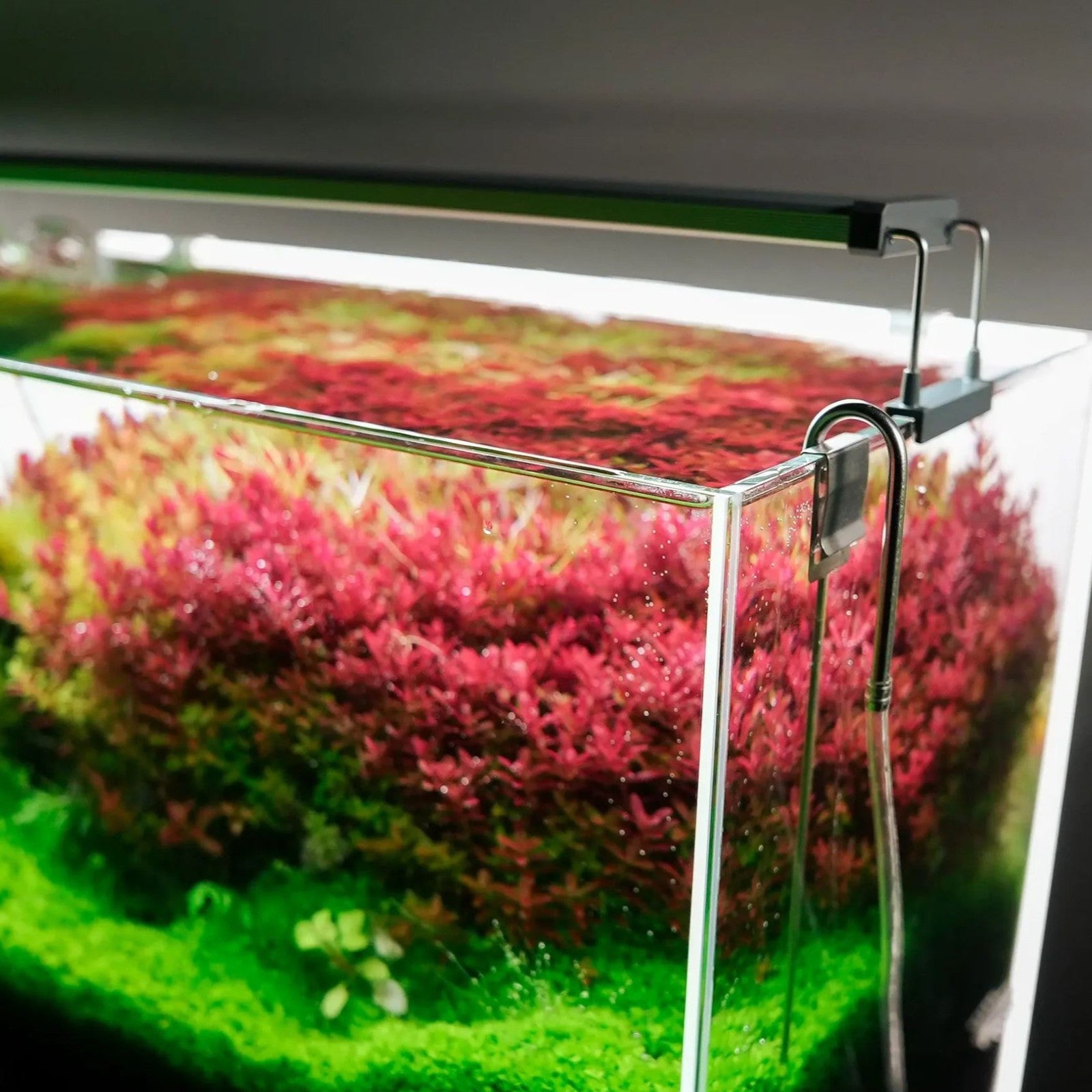 3359eafcce441abbf3d0c9172fe0551b