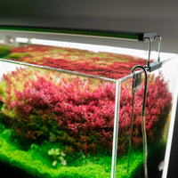 3359eafcce441abbf3d0c9172fe0551b