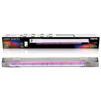 0ff78fb5538509571155706753053581