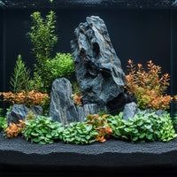 2ad341217ec44624d0b15d74d2af4044