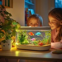 6998b02974696cd2db43a4338e4db907