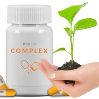 2736a01fcac64911d6c477caeee2d537