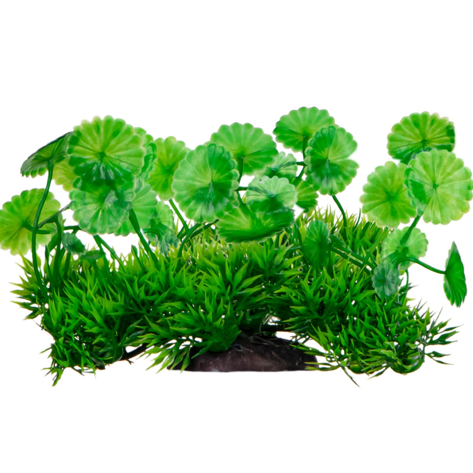 503494027685d9cd214c2af70db35b4d