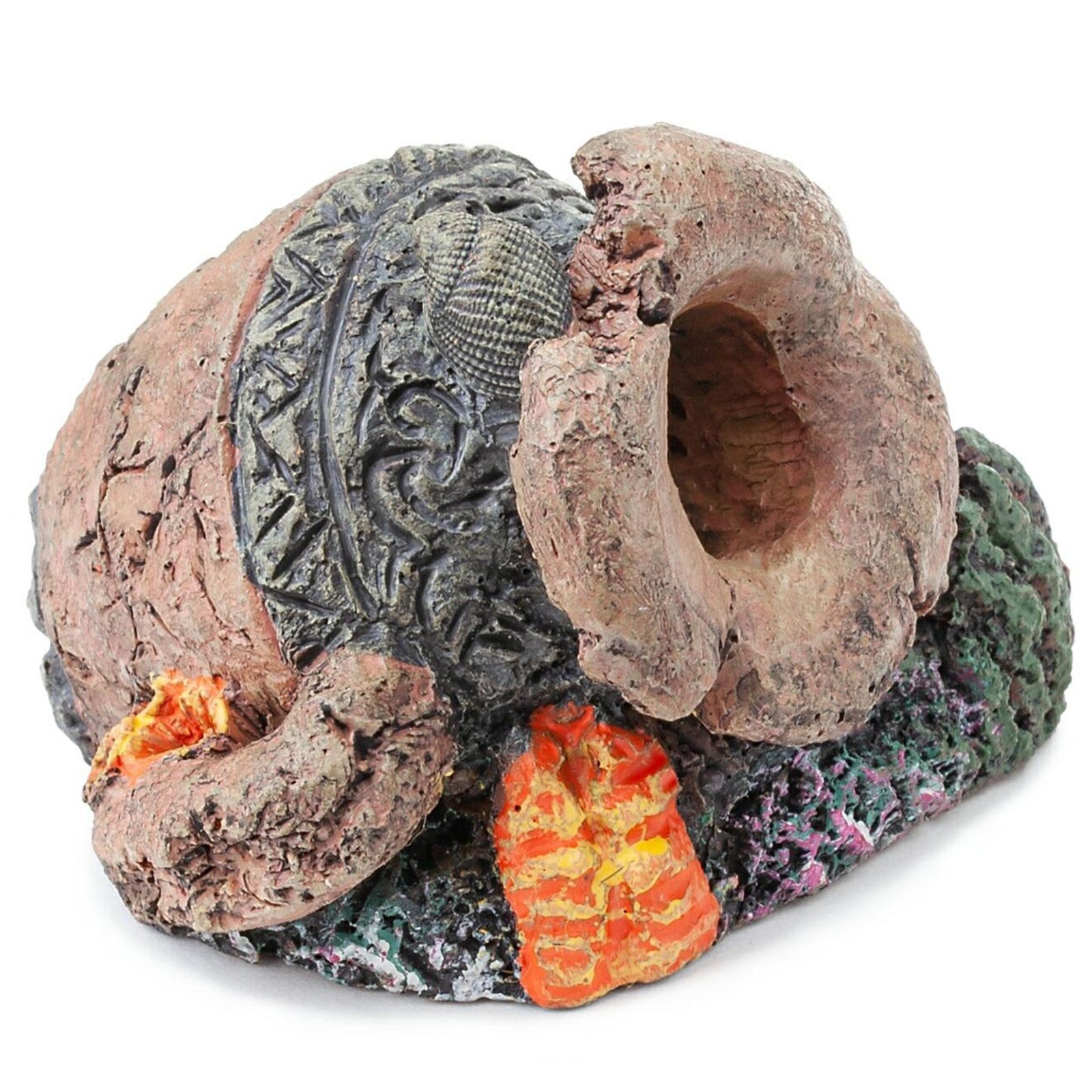 71b8faa087818bfefc6bacc9512ebfb3