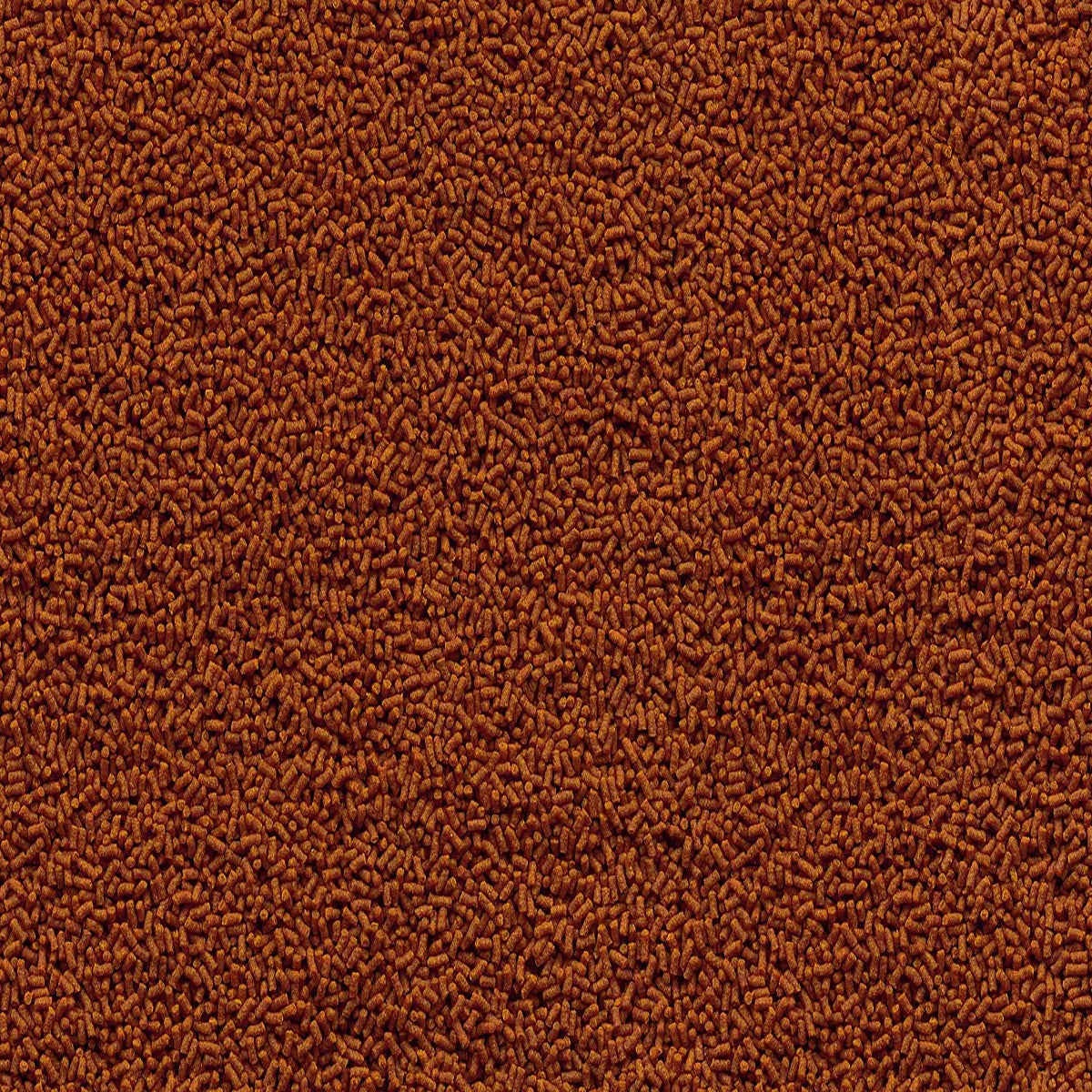 49962f3406ae3d5ad2e4909c1c7241b8