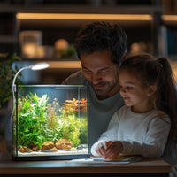 c8b794d1f128635de9804564240d8734