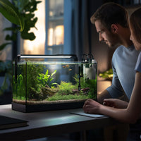 26bb47159efc165bc15690fc8a2bdf14