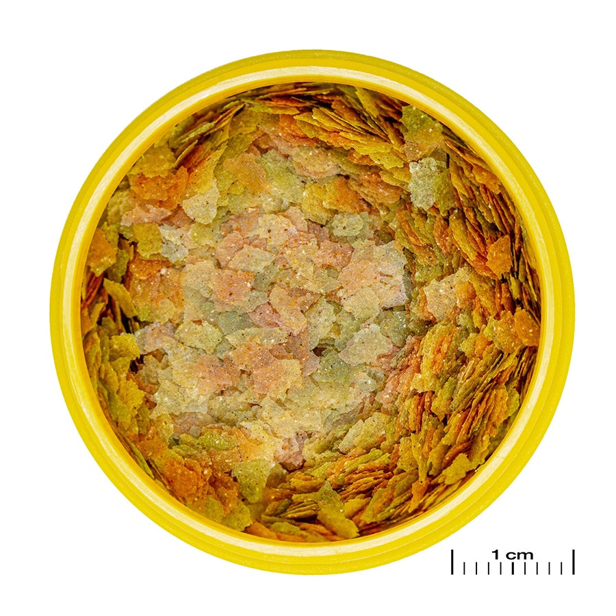 67a136b62e33897e5b1c14845ac25e17