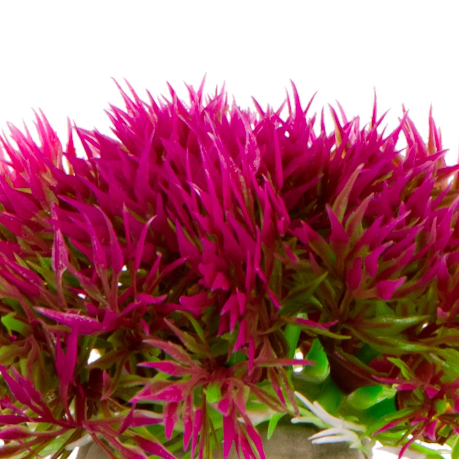 a11c3d85234796c48edd092f0abbc437