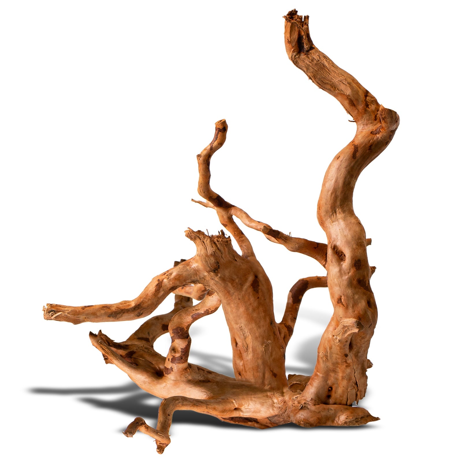 fc4f7c62de75134c8c0dc80a28e622f1