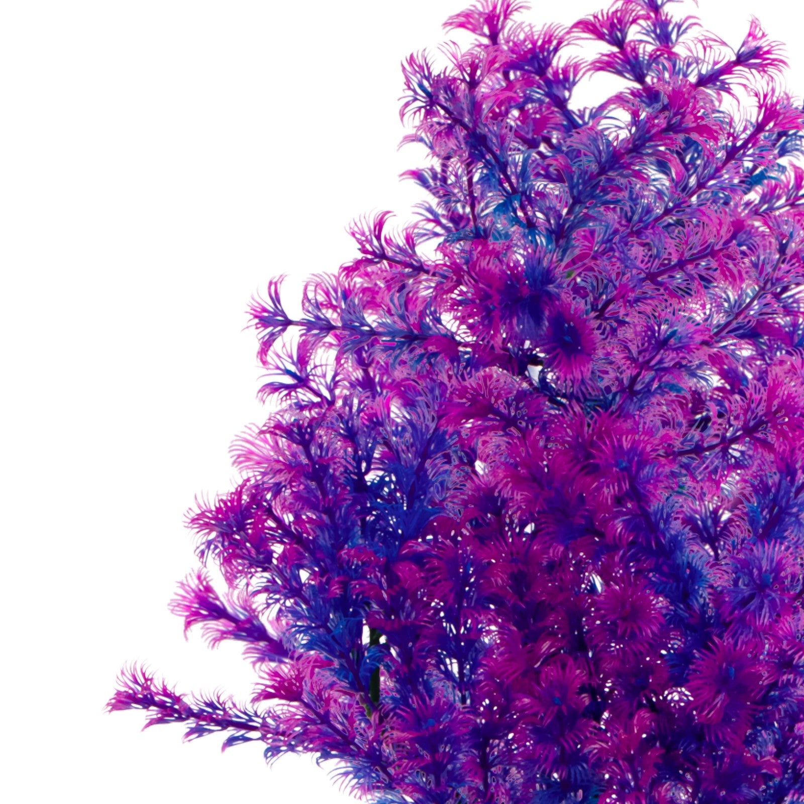 28656a919f4818ad1cb922e81d9b0275