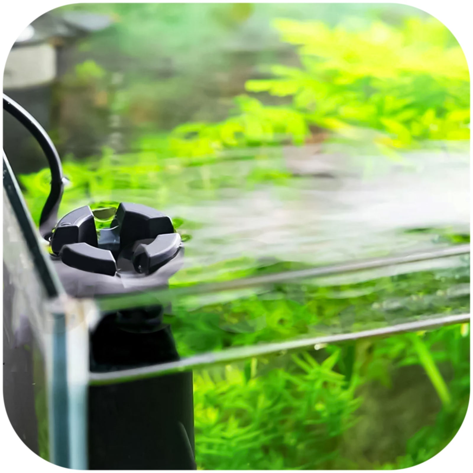 f332fe70c701f76a18c6f234a7541e26