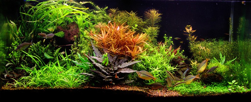 9dc83ec725ed499d1948249a4adb3bac