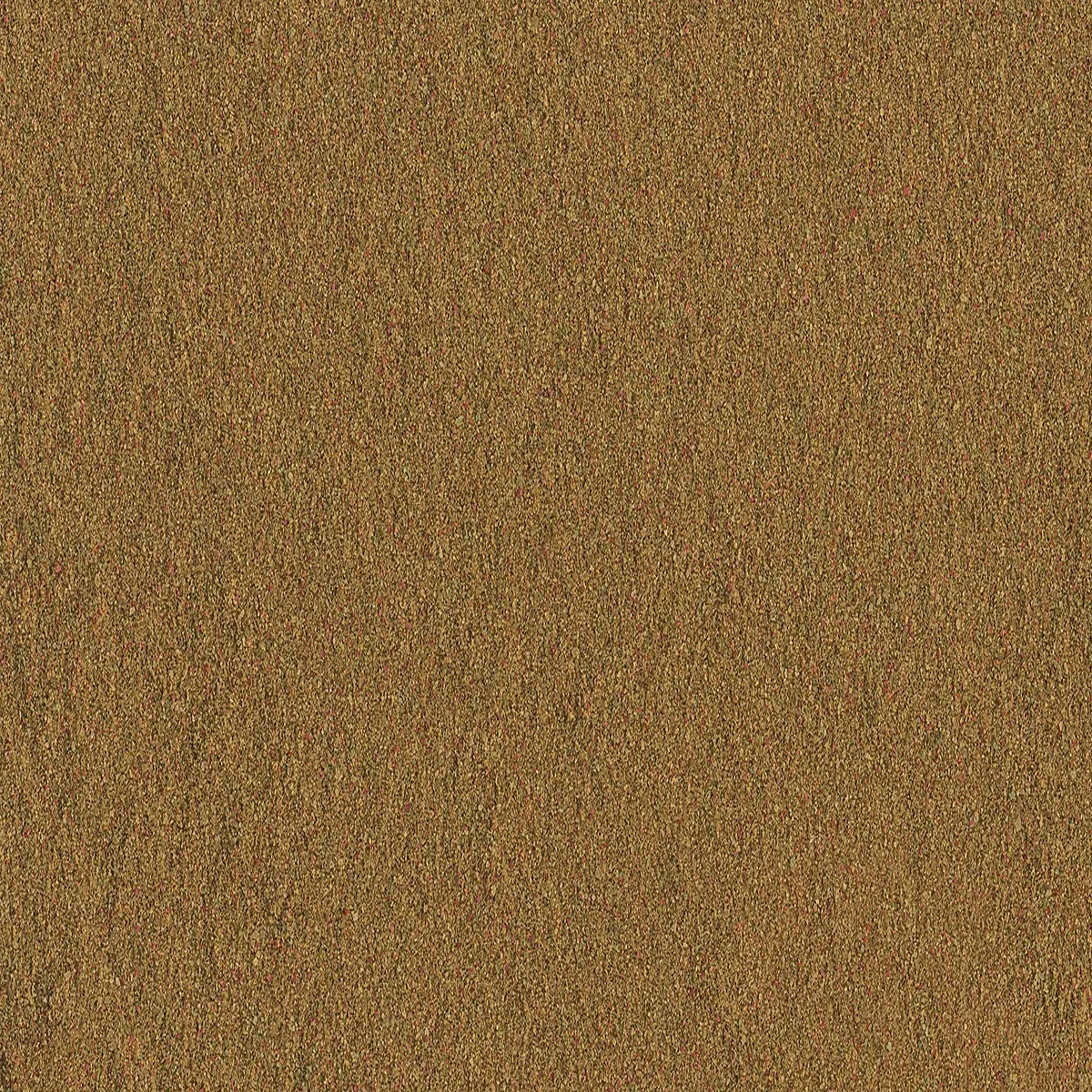 e224b90313fe4e183fcc87c3ffd1c030