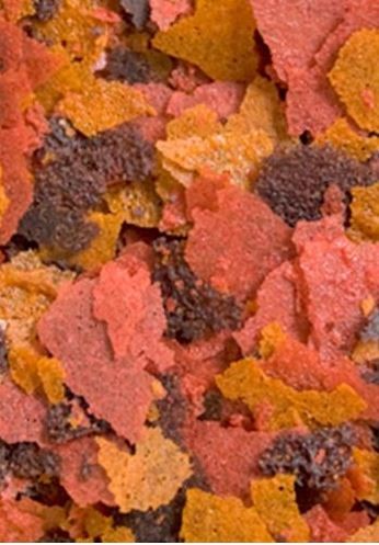 f0e88778dc5f42fad99e9ee998867aa1