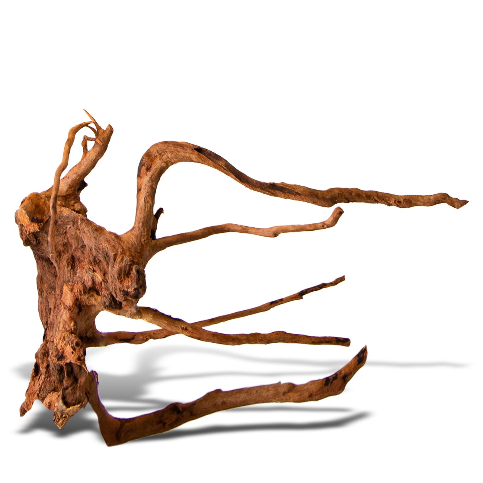 fa51b8feaaabfc7eca3dd392860051ba