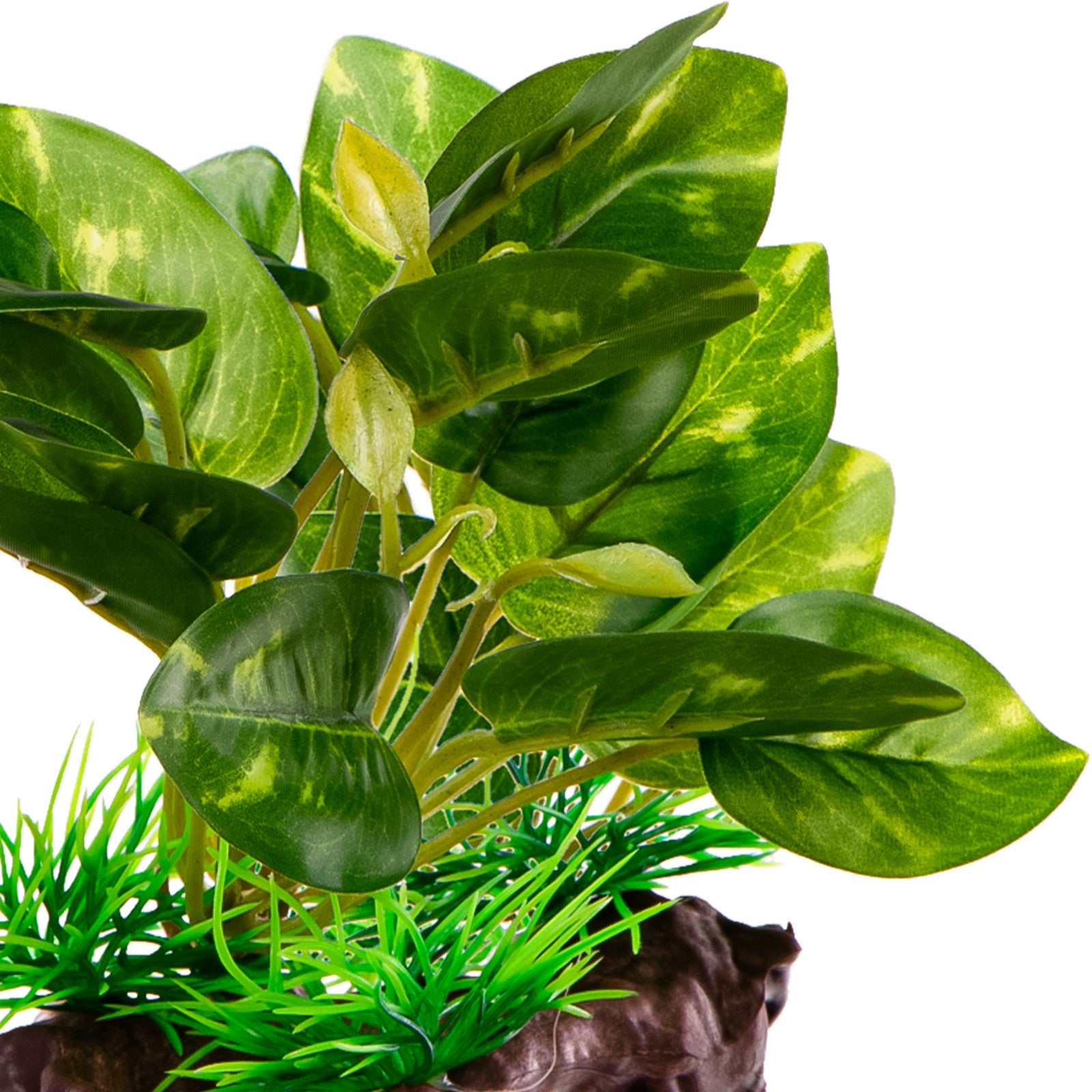 dfefb767c5a06c5fee033388b7b9402d