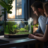 94e0f4fc993fea1da372f50ad4cc19a1