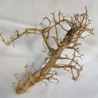 b732762d6e02925ec56b7f1fc2816c58