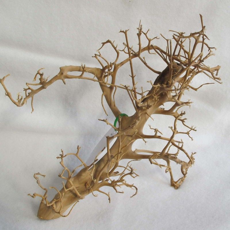 b732762d6e02925ec56b7f1fc2816c58