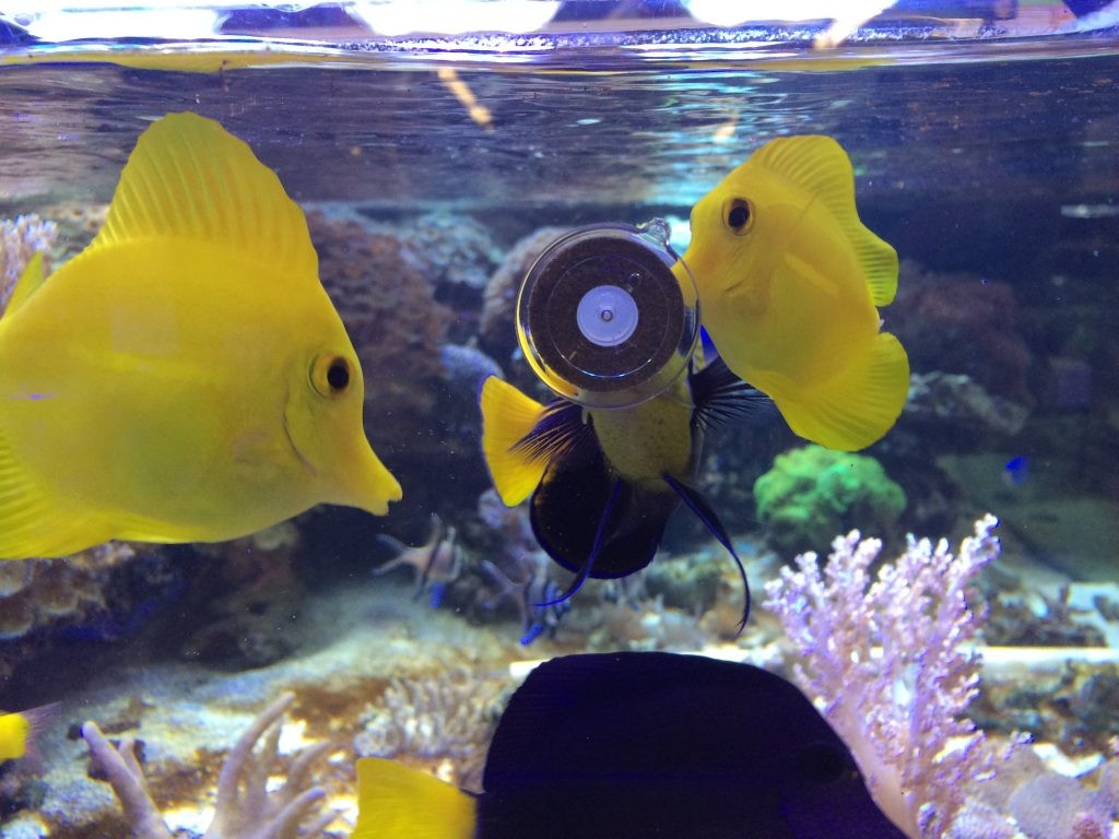 563e55021b10c8313953cacc4ed04999