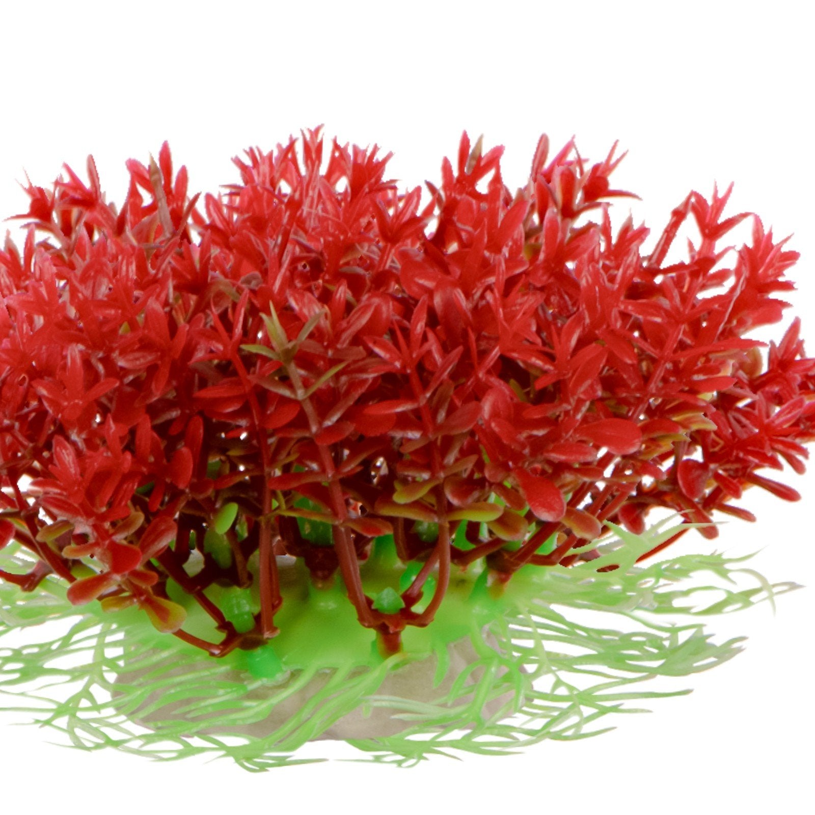 1d7742209cf98216e3abbcc73dded118