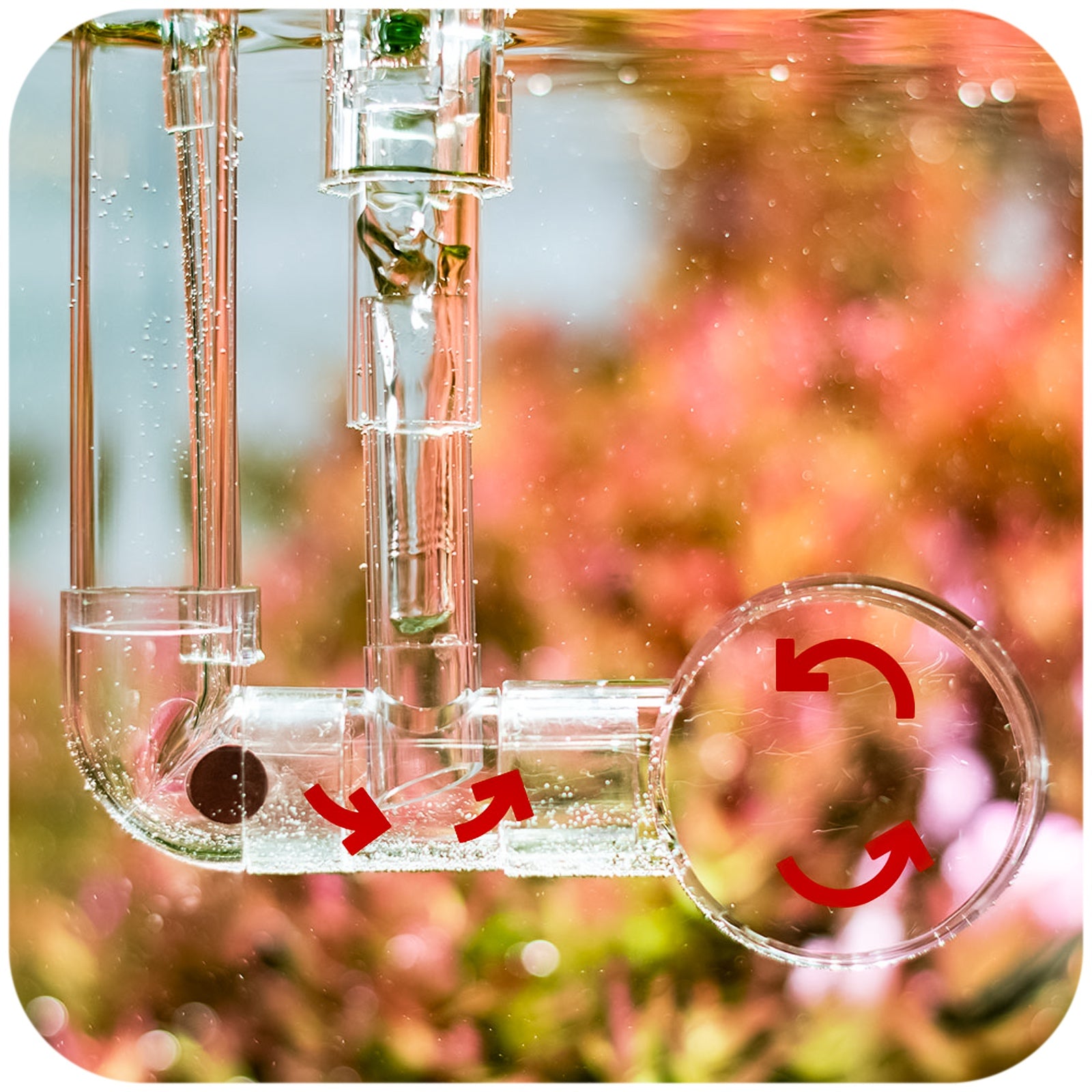 f8ceaefcfb06b3a34d265ba6f84e1424