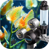 34ac596939c868dca0f624e87fb74be7