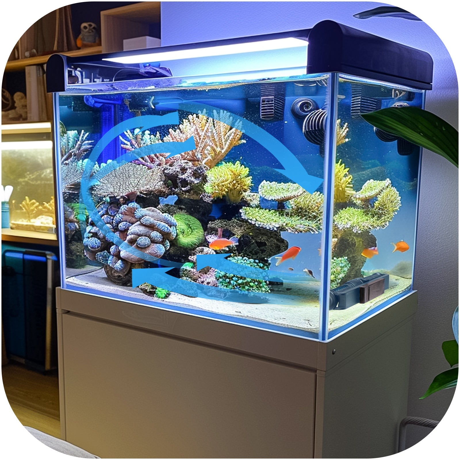 b6b5e18294d4a481a53ffd0836e74484