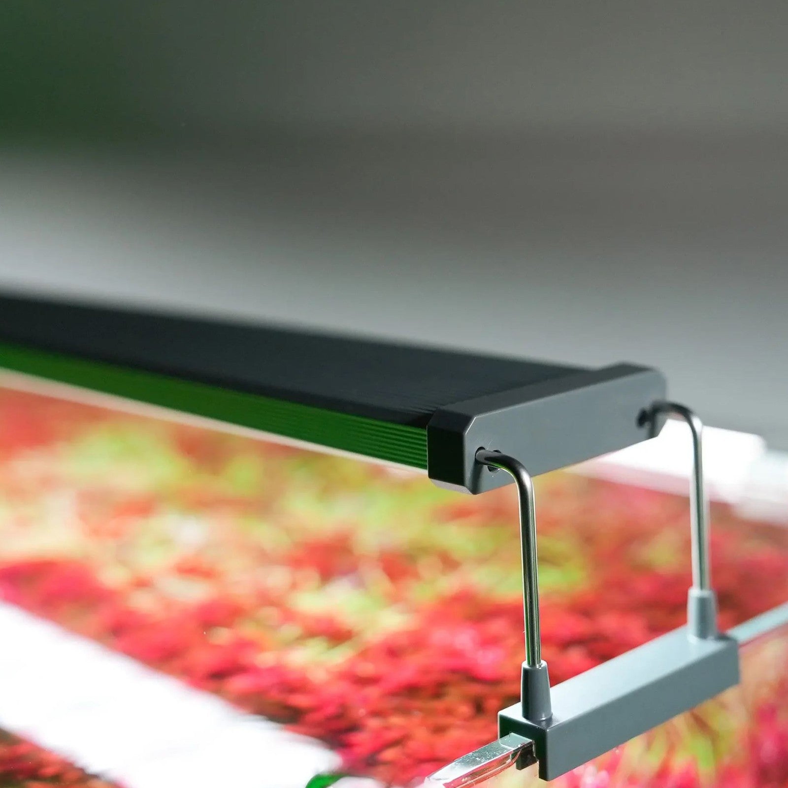 122c9fa235878d0f4cdaf2f8d9e20a60