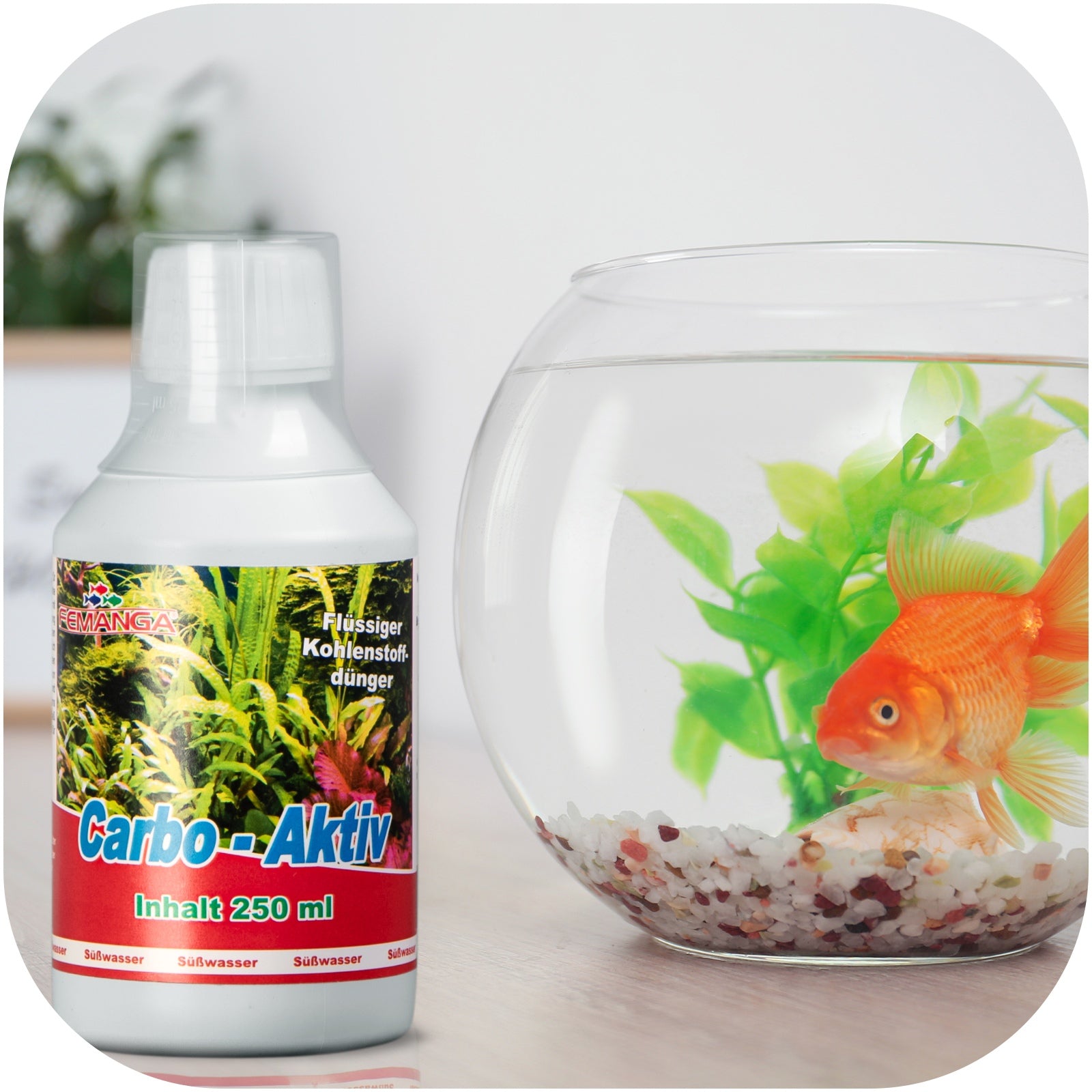 dd2d04540cb81bea791a36b358074a5a