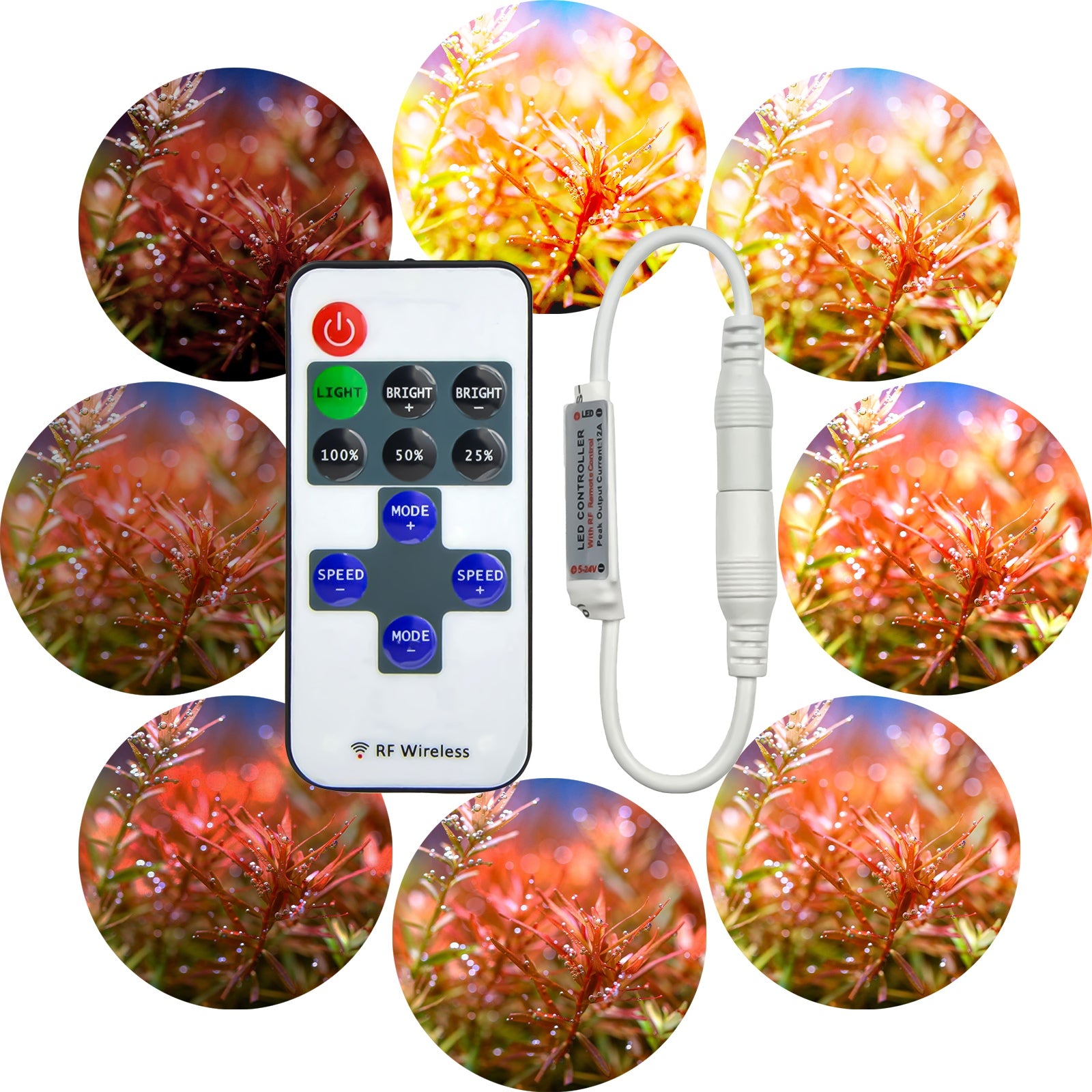 d593e6de4a177ea48b4fec16f2783a2e